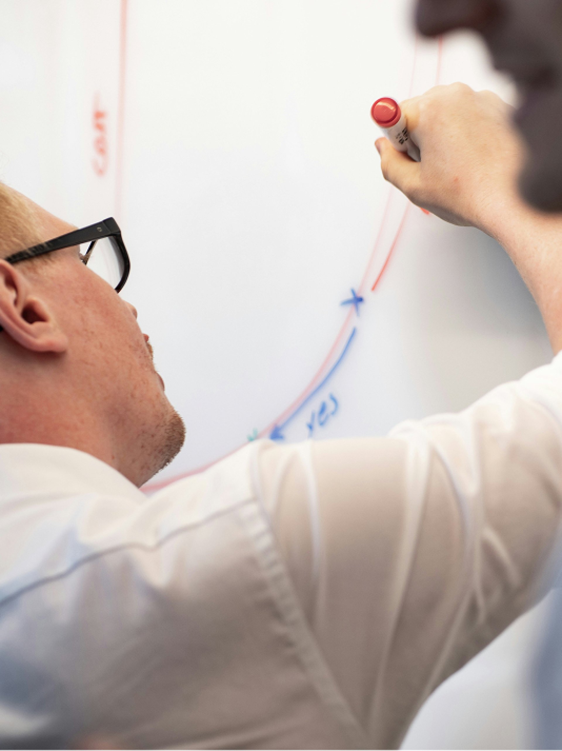 BOEG Kennis & Kapitaal